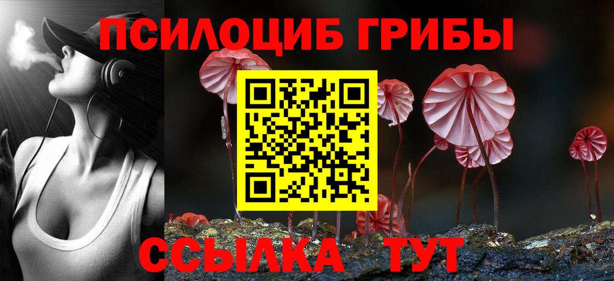 Галлюциногенные грибы Psilocybe Иваново