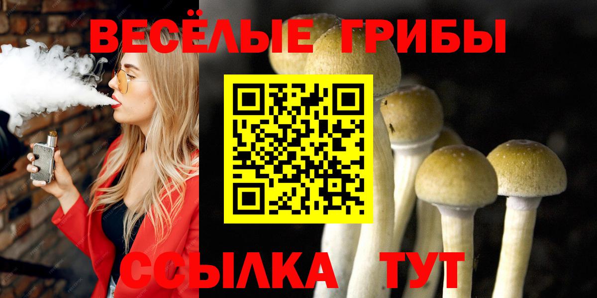 Иваново  купить наркотики сайты  Вход с VPN  Псилоцибиновые грибы мицелий 